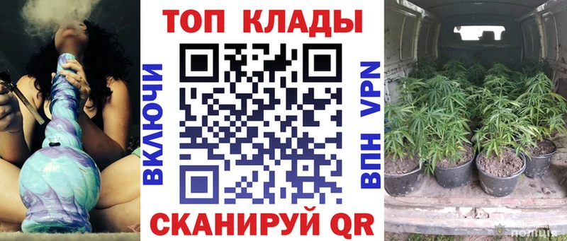 Где найти наркотики Сосновый Бор blacksprut ТОР  ГАШ  Марихуана  A PVP 