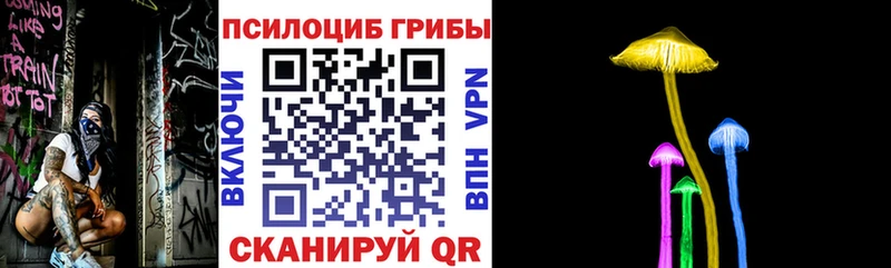 Псилоцибиновые грибы Cubensis  Сосновый Бор 